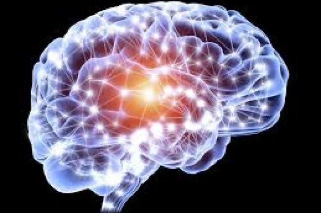 Advances in intravital imaging of adult neurogenesis in mice