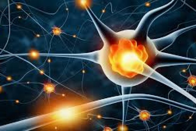 Perturbing neural stem cell fate